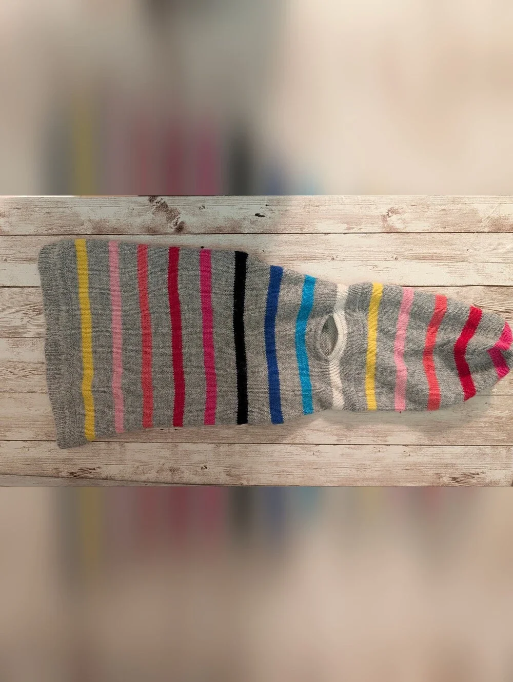 Gap Rainbow Wool Blend Dog Sweater With Hood